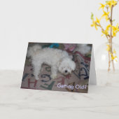 古くなることか。 カード (黄色い花)