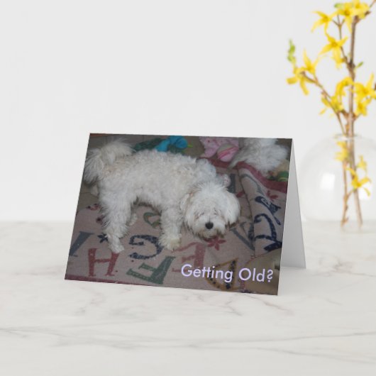 古くなることか。 カード (黄色い花)