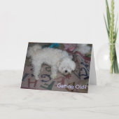 古くなることか。 カード (正面)