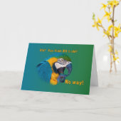 古くのオウム、カードなる誕生日、第80 カード (黄色い花)