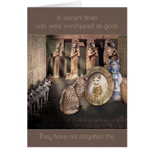 古くは猫を神として信仰していた… (正面)