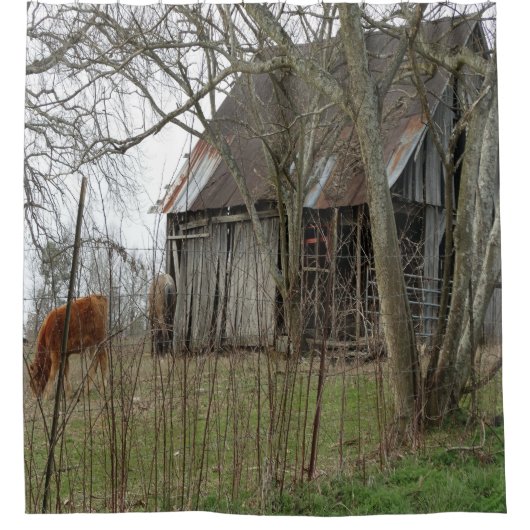 古く旧式な納屋 シャワーカーテン (正面)