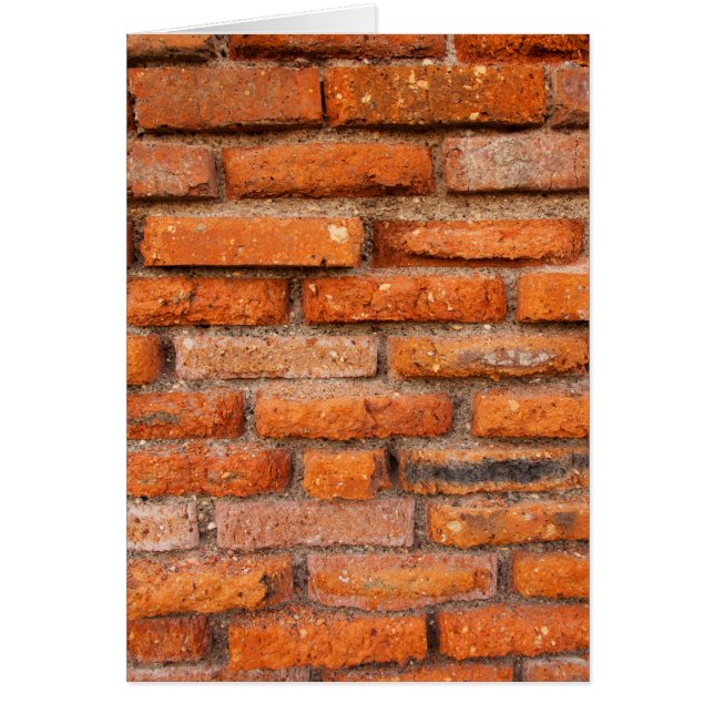 古テラコッタ煉瓦 (正面)