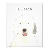 古パーソナライズされたいイギリスの牧羊芸術 フォトプリント (正面)