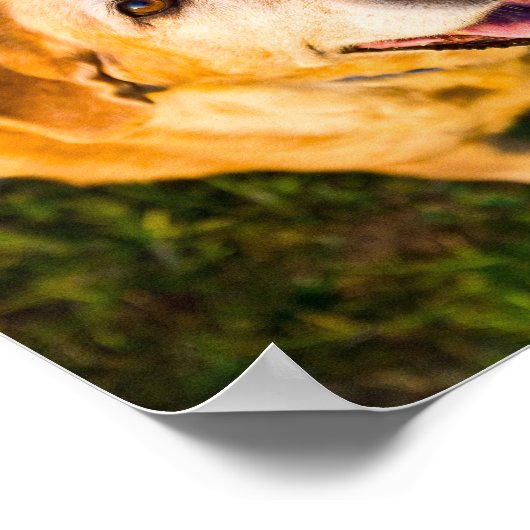 古パーソナライズされたい犬の記念写真ポスター ポスター (角)