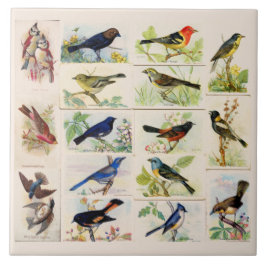 古ファッションド鳥 タイル