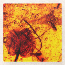 古代こはく色の包含 ガラスコースター