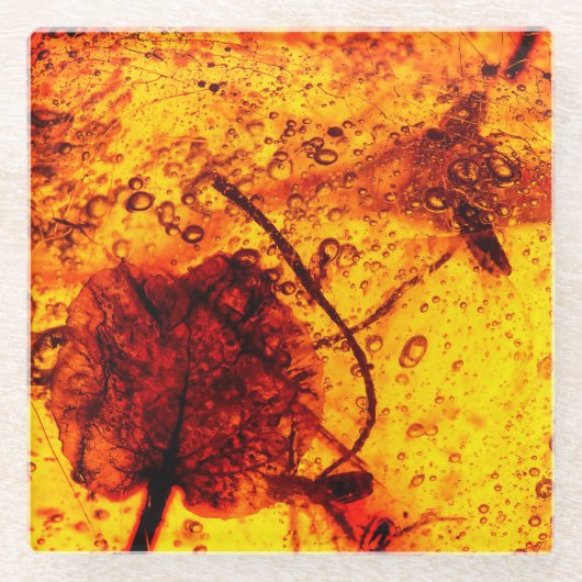 古代こはく色の包含 ガラスコースター (正面)