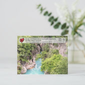 古代と原始的なブナ林 – ガシ川 ポストカード (スタンド正面)