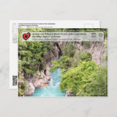 古代と原始的なブナ林 – ガシ川 ポストカード (正面/裏面)