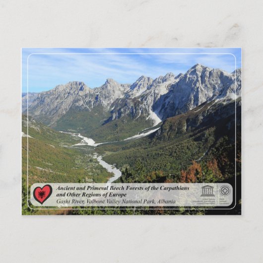 古代と原始的なブナ林 – ガシ川 ポストカード (正面)