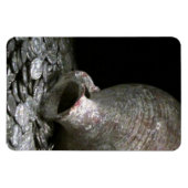 古代のコイン芸術 マグネット (横)