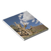 古代のブリスレコンの森の中のブリスレコンの松 ノートパッド (アングル)