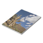 古代のブリスレコンの森の中のブリスレコンの松 ノートパッド (回転)