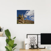 古代のブリスレコンの森の中のブリスレコンの松 ポスター (ホームオフィス)