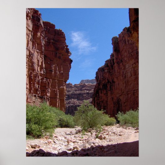 古代の城壁 ポスター (正面)