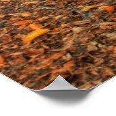 古代の木の根 ポスター (角)