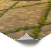 古代の植物書の漢方智慧 ポスター (角)