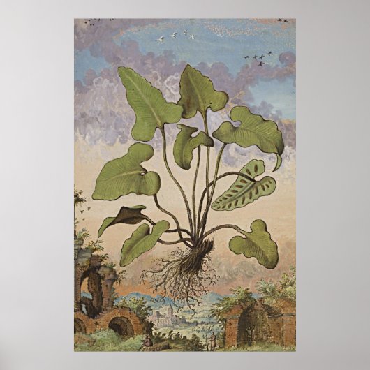 古代の植物芸術ヘミオナイト・シダ ポスター (正面)