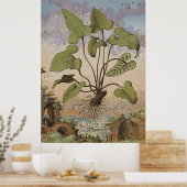 古代の植物芸術ヘミオナイト・シダ ポスター (キッチン)