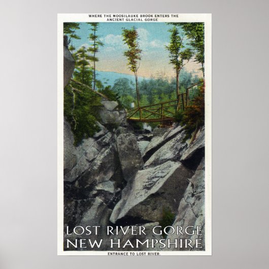 古代の氷河峡谷の入り口 ポスター (正面)
