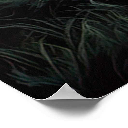 古代の沼地の美しいを忘れない ポスター (角)