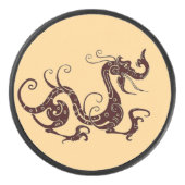 古代の茶色の神秘的な竜 アイスホッケーパック (正面)