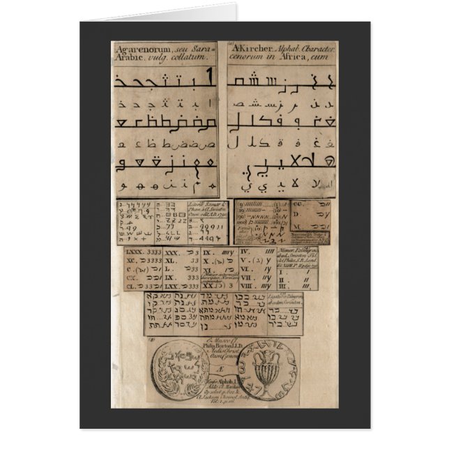 古代の言語 (正面)