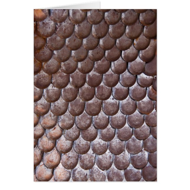 古代の鎧 (正面)