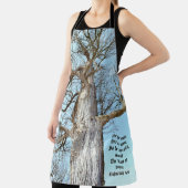 古代アッシュゼカリヤ4:6 エプロン (インサイチュ)