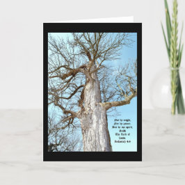 古代アッシュゼカリヤ4:6 サンキューカード