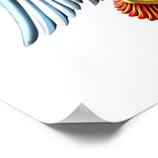 古代アヌンナキ神 ポスター (角)