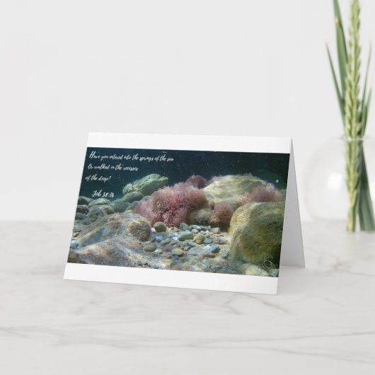 古代ウォーターズカードジョブ38:16 カード (正面)