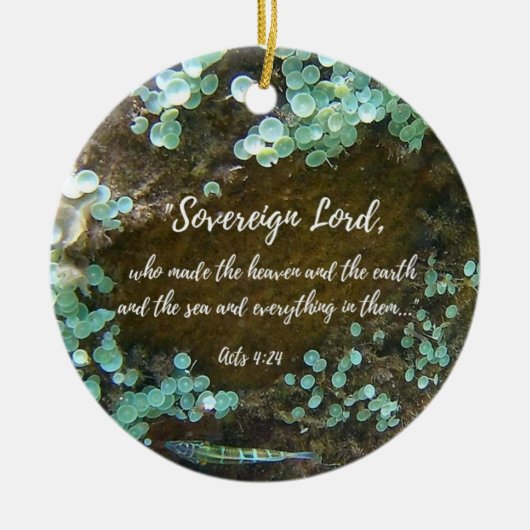 古代ウォーターズセラミックオーナメント セラミックオーナメント (正面)