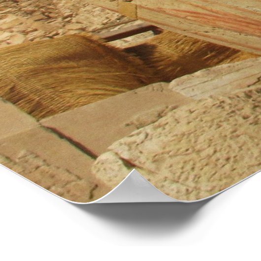 古代エジプトのハトール女神の愛の音楽美しい ポスター (角)