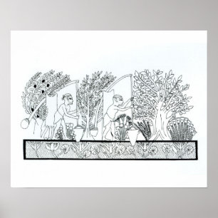 古代エジプトの庭園(版木、銅版、版画)(写真つき) ポスター