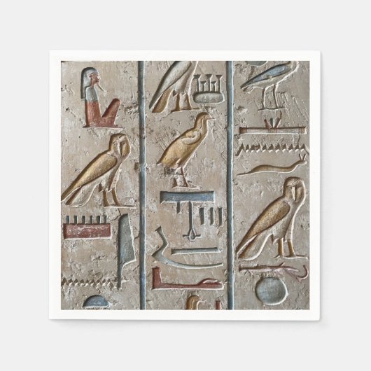 古代エジプトの象形文字 ファラオ 刻印 スクリプト スタンダードカクテルナプキン (正面)