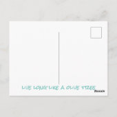 古代オリーブの木 ポストカード (裏面)