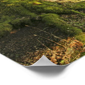 古代オークの木 ポスター (角)