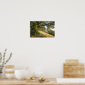 古代オークの木 ポスター (キッチン)