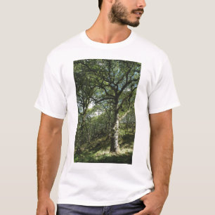 古代カシ Tシャツ
