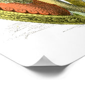 古代ギリシャの戦士 ポスター (角)