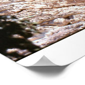 古代クリフの住人 ポスター (角)