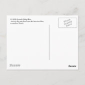 古代クレイポット、南メキシコ ポストカード (裏面)