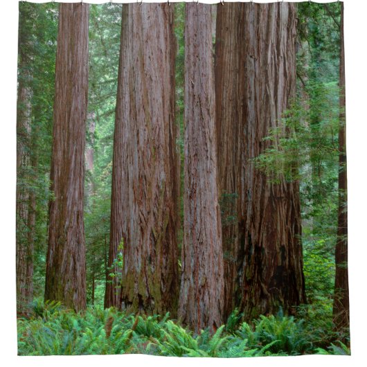 古代セコイアの高台 シャワーカーテン (正面)