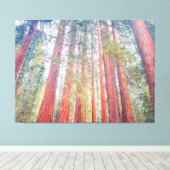 古代セコイア キャンバスプリント (インサイチュ (ウッドフロア))