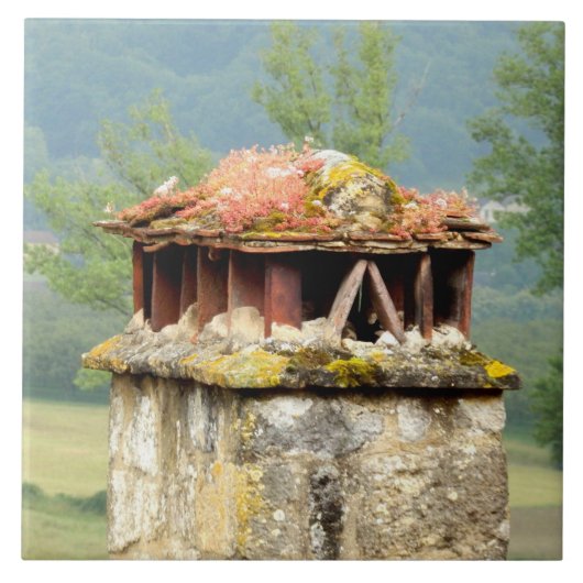 古代フランスの煙突セラミック写真タイル タイル (正面)