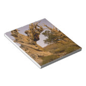 古代ブリスレコンの森、白い山々、カリフォルニア ノートパッド (アングル)