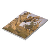 古代ブリスレコンの森、白い山々、カリフォルニア ノートパッド (回転)