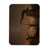 古代ブリスレコンパイン林 |カリフォルニア マグネット (縦)